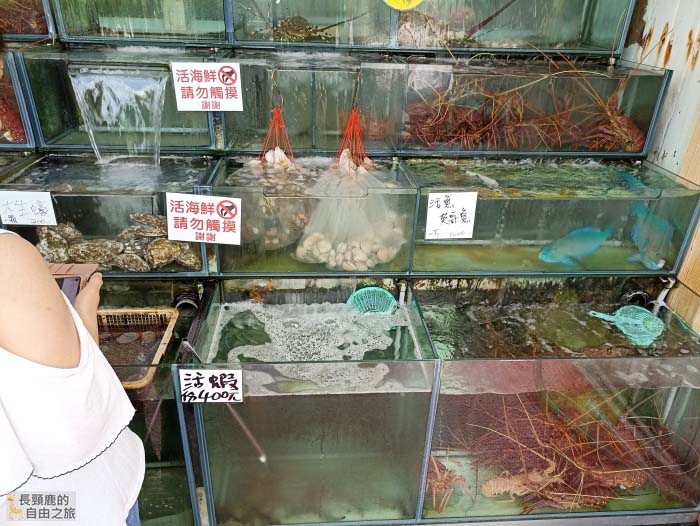 [遊記] 墾丁浮潛 後壁湖出水口-左側海域 - 長頸鹿的自由之旅｜旅遊紀錄 心得推薦 露營/浮潛/登山
