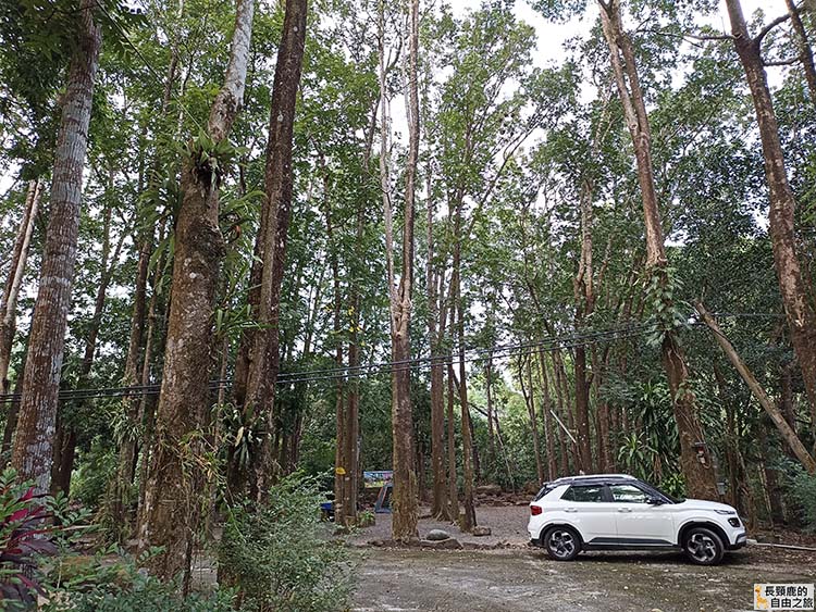 [露營] 美濃森林星光小屋 露營 溪流 泰式料理 - 長頸鹿的自由之旅｜旅遊紀錄 心得推薦 露營/浮潛/登山