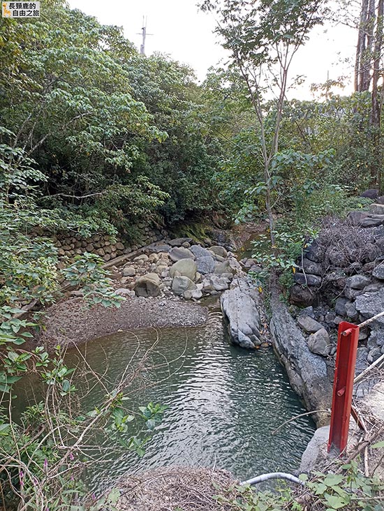 [露營] 美濃森林星光小屋 露營 溪流 泰式料理 - 長頸鹿的自由之旅｜旅遊紀錄 心得推薦 露營/浮潛/登山