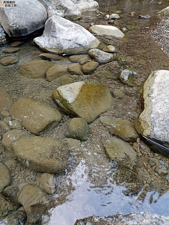 [露營] 美濃森林星光小屋 露營 溪流 泰式料理 - 長頸鹿的自由之旅｜旅遊紀錄 心得推薦 露營/浮潛/登山