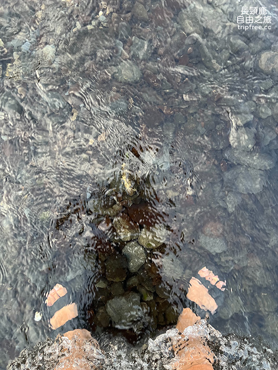 [露營] 琉璃灣露營區 河谷群山環繞 深山原始風貌 - 長頸鹿的自由之旅｜旅遊紀錄 心得推薦 露營/浮潛/登山