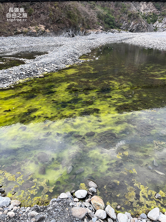 [露營] 琉璃灣露營區 河谷群山環繞 深山原始風貌 - 長頸鹿的自由之旅｜旅遊紀錄 心得推薦 露營/浮潛/登山