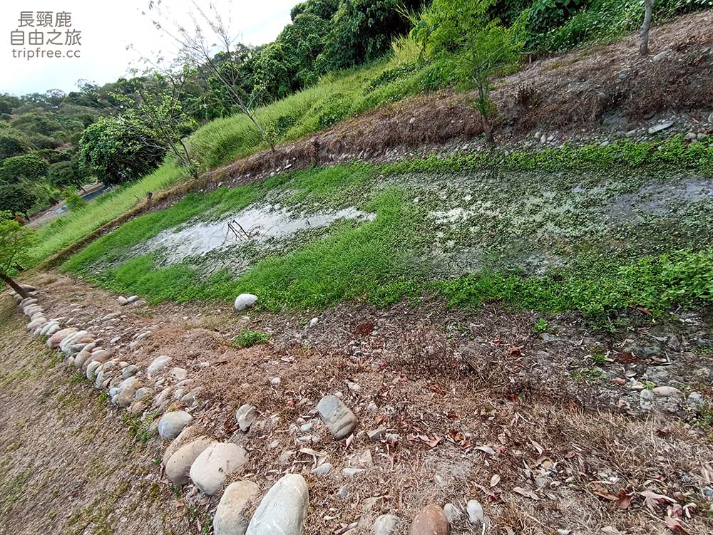 [露營] 大樂露營區 花園農場 生態池 溪流 - 長頸鹿的自由之旅｜旅遊紀錄 心得推薦 露營/浮潛/登山