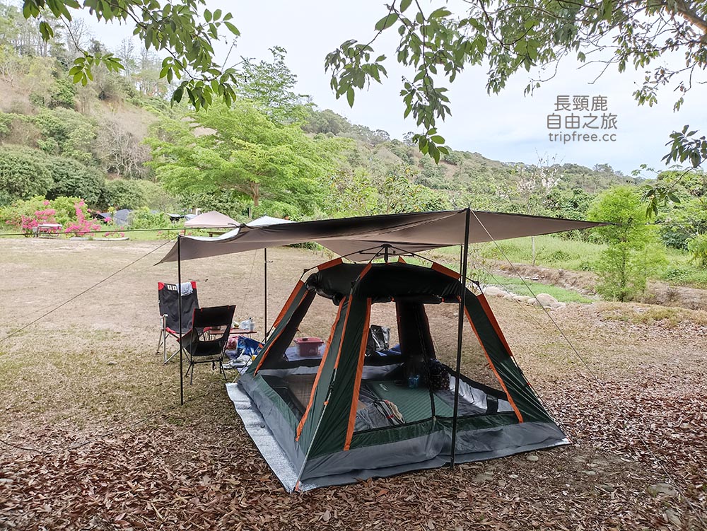 [露營] 大樂露營區 花園農場 生態池 溪流 - 長頸鹿的自由之旅｜旅遊紀錄 心得推薦 露營/浮潛/登山