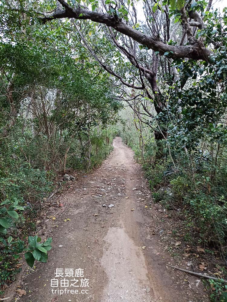 [露營] 白砂海景露營區 海景第一排 自然原始風格 - 長頸鹿的自由之旅｜旅遊紀錄 心得推薦 露營/浮潛/登山