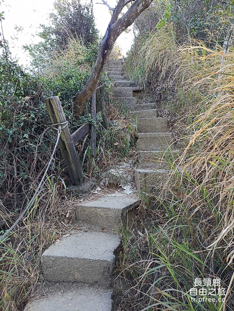 [登山] 大社觀音山風景區 百萬視野 美食小吃 小百岳 - 長頸鹿的自由之旅｜旅遊紀錄 心得推薦 露營/浮潛/登山