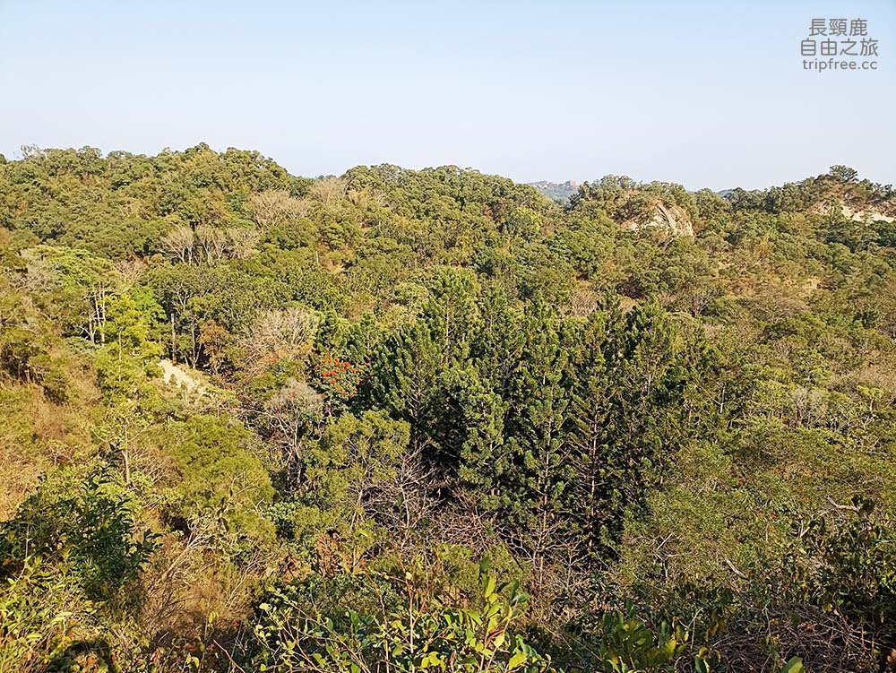 [登山] 大社觀音山風景區 百萬視野 美食小吃 小百岳 - 長頸鹿的自由之旅｜旅遊紀錄 心得推薦 露營/浮潛/登山