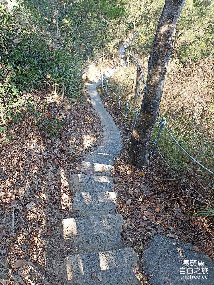 [登山] 大社觀音山風景區 百萬視野 美食小吃 小百岳 - 長頸鹿的自由之旅｜旅遊紀錄 心得推薦 露營/浮潛/登山
