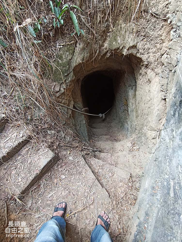 [登山] 大社觀音山風景區 百萬視野 美食小吃 小百岳 - 長頸鹿的自由之旅｜旅遊紀錄 心得推薦 露營/浮潛/登山