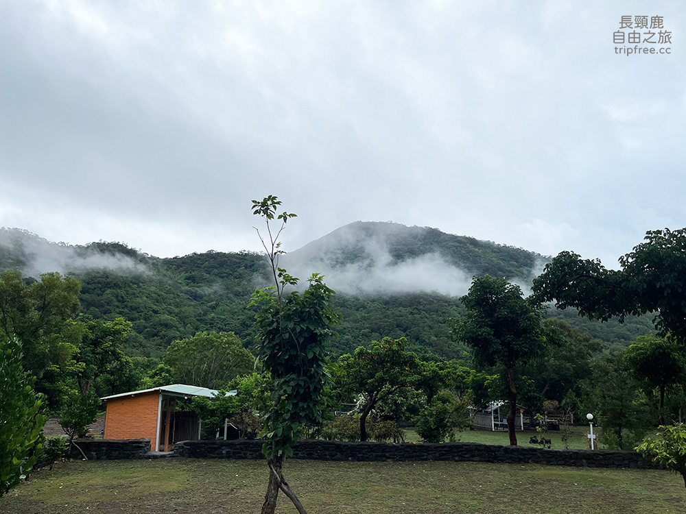 [露營] 阿法里露營區 花園農場 生態池 黃灰澤蟹 - 長頸鹿的自由之旅｜旅遊紀錄 心得推薦 露營/浮潛/登山