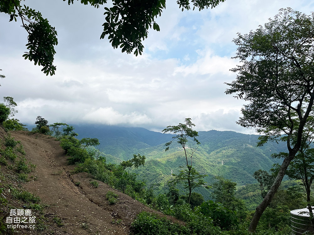 [露營] 大漢山森林療癒農場 百萬夜景/海景/山景 中海拔500公尺 - 長頸鹿的自由之旅｜旅遊紀錄 心得推薦 露營/浮潛/登山
