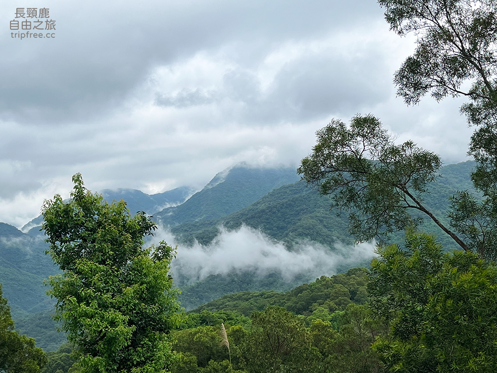 [露營] 大漢山森林療癒農場 百萬夜景/海景/山景 中海拔500公尺 - 長頸鹿的自由之旅｜旅遊紀錄 心得推薦 露營/浮潛/登山