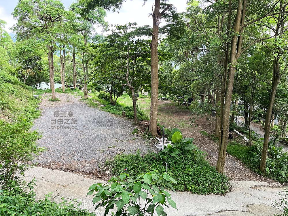 [露營] 大漢山森林療癒農場 百萬夜景/海景/山景 中海拔500公尺 - 長頸鹿的自由之旅｜旅遊紀錄 心得推薦 露營/浮潛/登山
