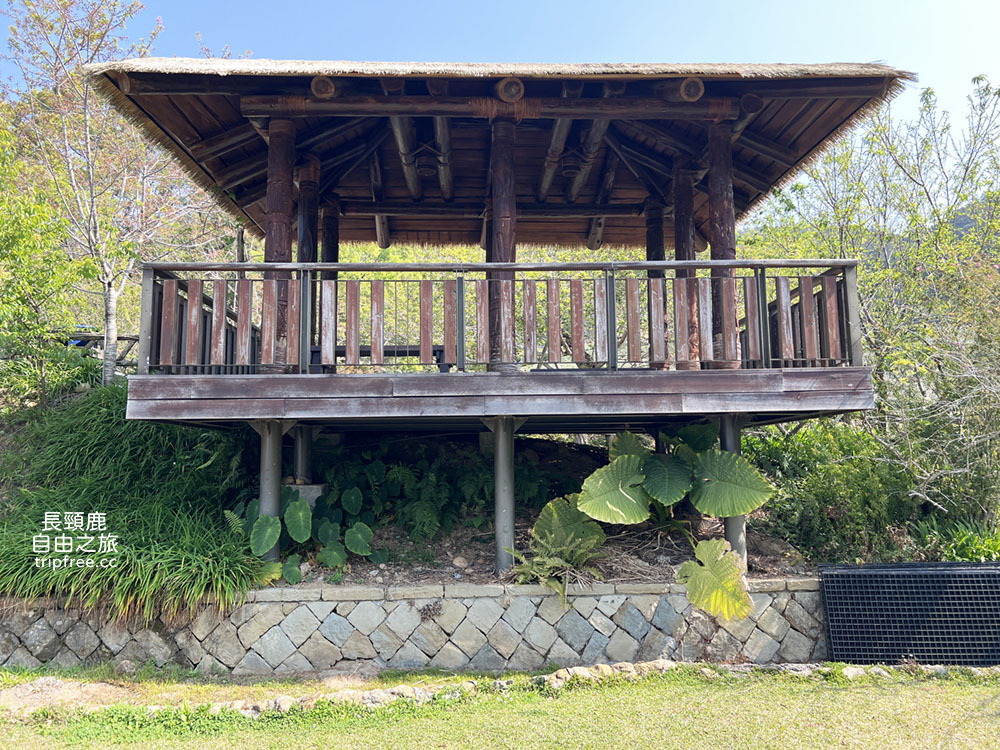 [露營] 杉緣星空露營區 櫻花 茶園 中海拔1200公尺 - 長頸鹿的自由之旅｜旅遊紀錄 心得推薦 露營/浮潛/登山