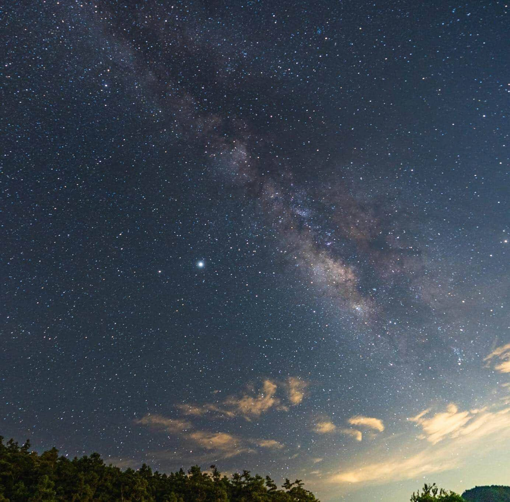 [露營] 杉緣星空露營區 櫻花 茶園 中海拔1200公尺 - 長頸鹿的自由之旅｜旅遊紀錄 心得推薦 露營/浮潛/登山
