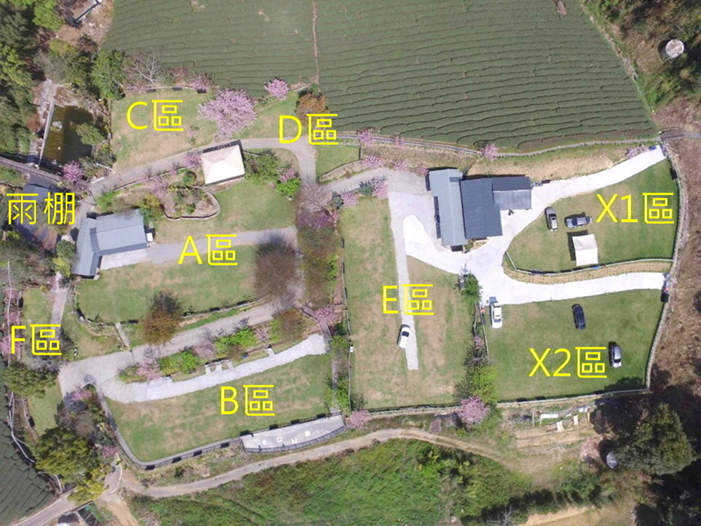[露營] 杉緣星空露營區 櫻花 茶園 中海拔1200公尺 - 長頸鹿的自由之旅｜旅遊紀錄 心得推薦 露營/浮潛/登山