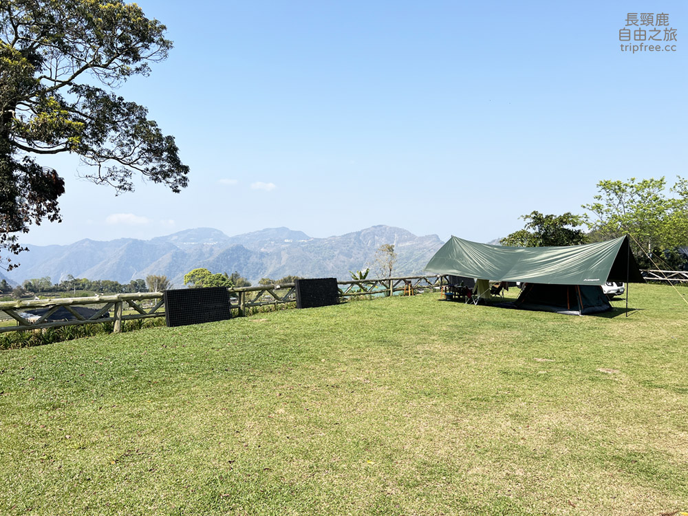 [露營] 杉緣星空露營區 櫻花 茶園 中海拔1200公尺 - 長頸鹿的自由之旅｜旅遊紀錄 心得推薦 露營/浮潛/登山