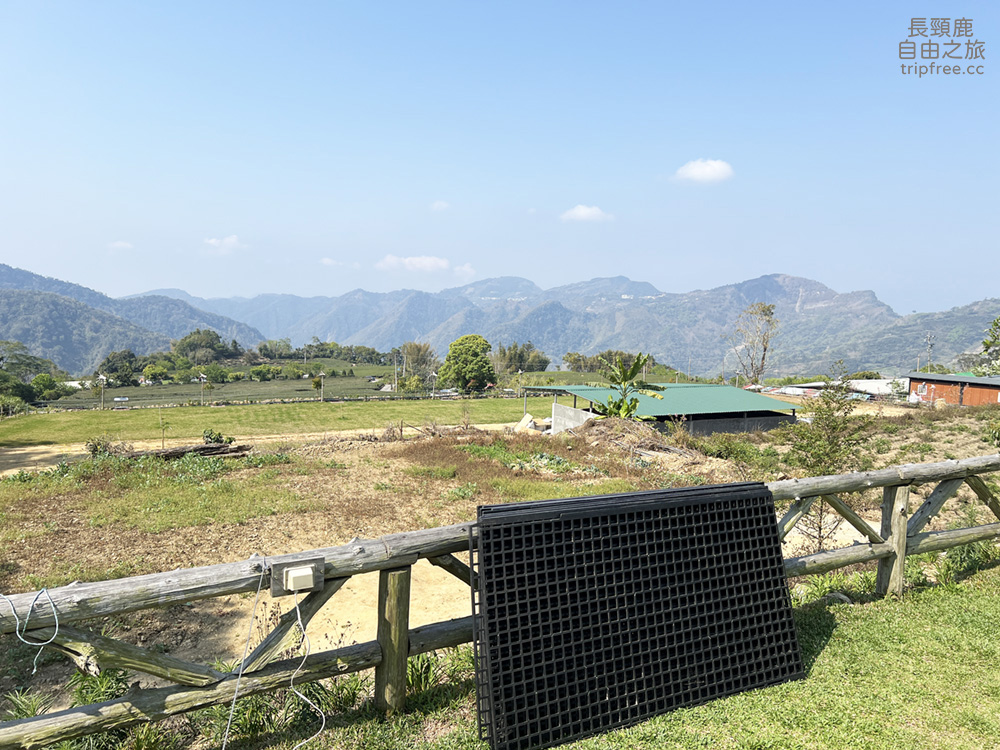 [露營] 杉緣星空露營區 櫻花 茶園 中海拔1200公尺 - 長頸鹿的自由之旅｜旅遊紀錄 心得推薦 露營/浮潛/登山