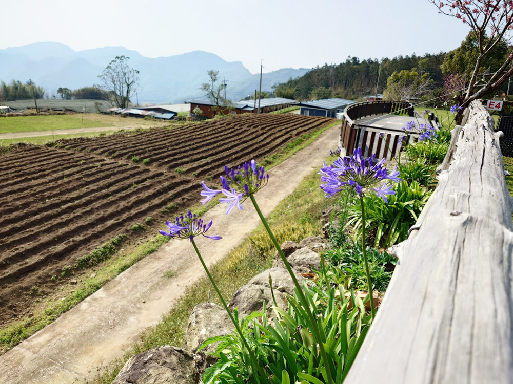 [露營] 杉緣星空露營區 櫻花 茶園 中海拔1200公尺 - 長頸鹿的自由之旅｜旅遊紀錄 心得推薦 露營/浮潛/登山