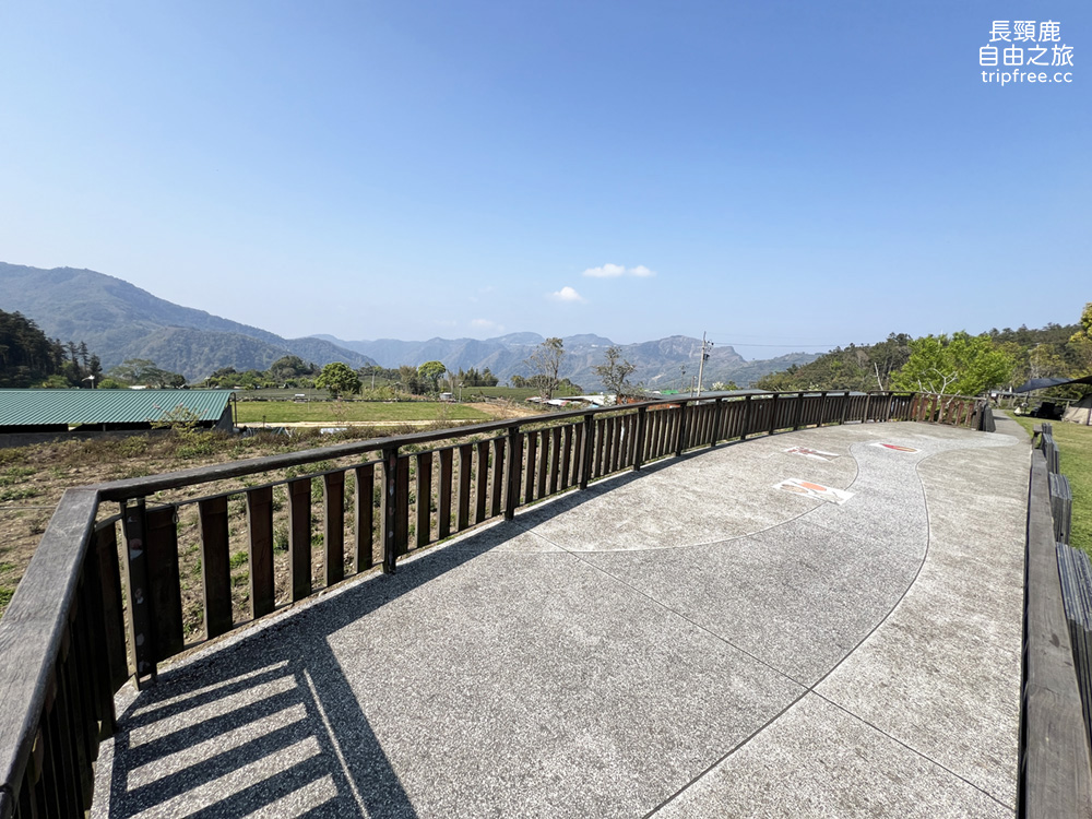 [露營] 杉緣星空露營區 櫻花 茶園 中海拔1200公尺 - 長頸鹿的自由之旅｜旅遊紀錄 心得推薦 露營/浮潛/登山