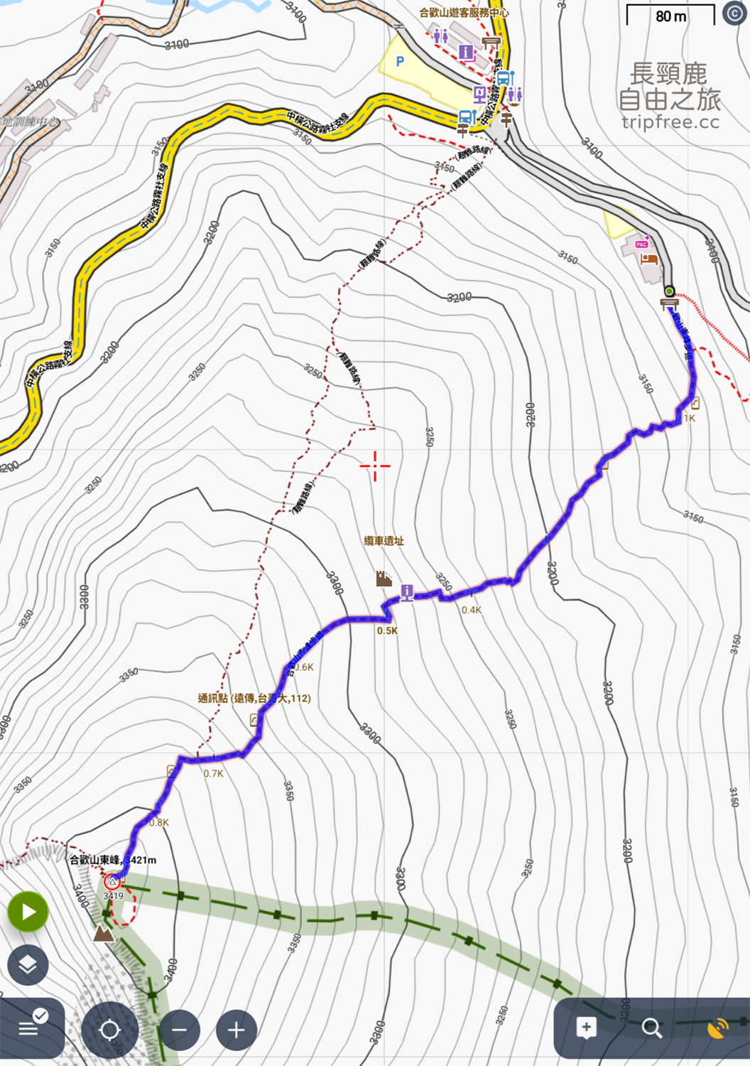 [登山] 合歡東峰 玉山杜鵑盛開 入門百岳 海拔3421公尺 - 長頸鹿的自由之旅｜旅遊紀錄 心得推薦 露營/浮潛/登山