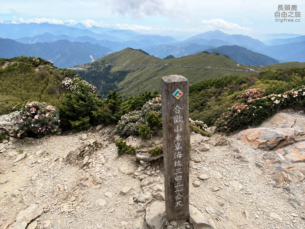 [登山] 合歡東峰 玉山杜鵑盛開 入門百岳 海拔3421公尺 - 長頸鹿的自由之旅｜旅遊紀錄 心得推薦 露營/浮潛/登山