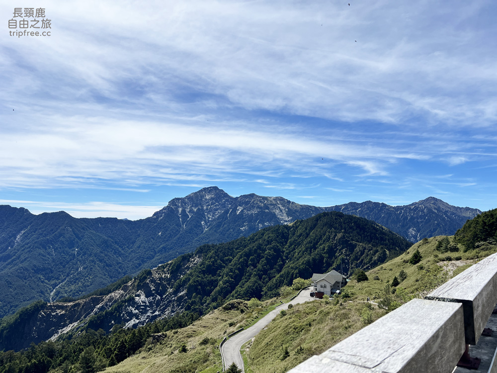 [登山] 合歡東峰 玉山杜鵑盛開 入門百岳 海拔3421公尺 - 長頸鹿的自由之旅｜旅遊紀錄 心得推薦 露營/浮潛/登山