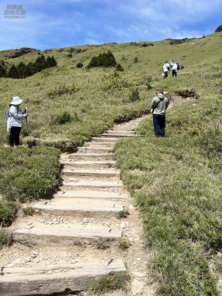 [登山] 合歡東峰 玉山杜鵑盛開 入門百岳 海拔3421公尺 - 長頸鹿的自由之旅｜旅遊紀錄 心得推薦 露營/浮潛/登山