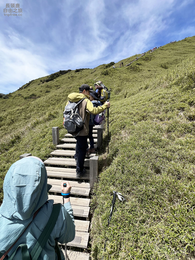 [登山] 合歡東峰 玉山杜鵑盛開 入門百岳 海拔3421公尺 - 長頸鹿的自由之旅｜旅遊紀錄 心得推薦 露營/浮潛/登山