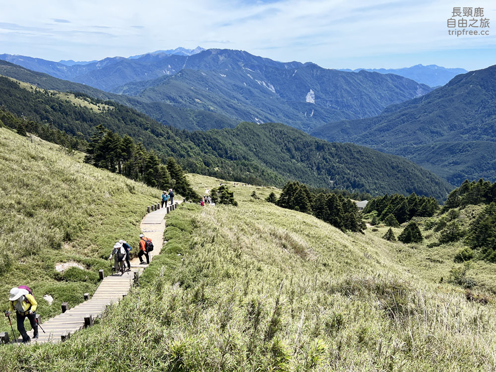 [登山] 合歡東峰 玉山杜鵑盛開 入門百岳 海拔3421公尺 - 長頸鹿的自由之旅｜旅遊紀錄 心得推薦 露營/浮潛/登山