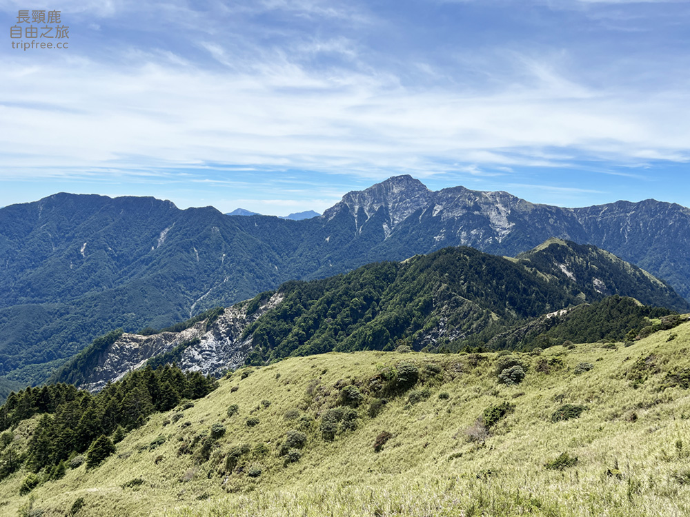 [登山] 合歡東峰 玉山杜鵑盛開 入門百岳 海拔3421公尺 - 長頸鹿的自由之旅｜旅遊紀錄 心得推薦 露營/浮潛/登山