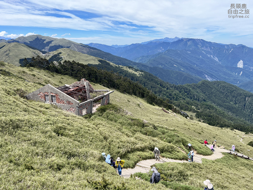 [登山] 合歡東峰 玉山杜鵑盛開 入門百岳 海拔3421公尺 - 長頸鹿的自由之旅｜旅遊紀錄 心得推薦 露營/浮潛/登山