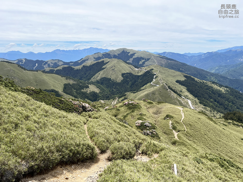 [登山] 合歡東峰 玉山杜鵑盛開 入門百岳 海拔3421公尺 - 長頸鹿的自由之旅｜旅遊紀錄 心得推薦 露營/浮潛/登山