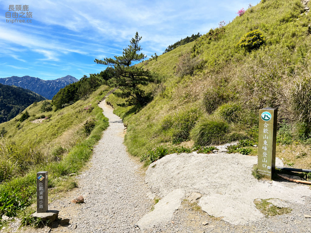 [登山] 合歡東峰 玉山杜鵑盛開 入門百岳 海拔3421公尺 - 長頸鹿的自由之旅｜旅遊紀錄 心得推薦 露營/浮潛/登山
